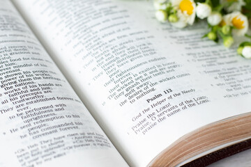 Open holy bible book of Psalms 113 verses with a spring flower, close-up. God is the Helper of the...