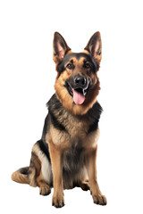 A cute german shepperd with brown and black fur sitting, isolated (Generative AI, Generativ, KI)

 - obrazy, fototapety, plakaty