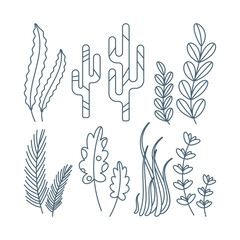 Set of marine elements of seaweed in flat cartoon style.