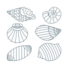 Set of diverse sea shell, aquatic life animals in flat cartoon style.