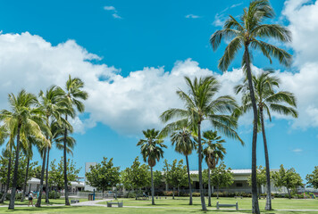 Obraz na płótnie Canvas Palm trees at Pearl Harbor Visitor Center, Honolulu, Oahu, Hawaii. The coconut tree (Cocos nucifera) is a member of the palm tree family (Arecaceae) and the only living species of the genus Cocos.