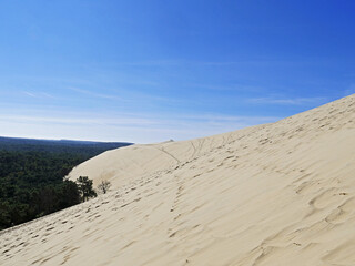The Pilat Dune or Pyla Dune, on the edge of the forest of Landes de Gascogne on the Silver Coast at...