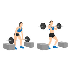 Fototapeta na wymiar Woman doing barbell cleans or box cleans or block cleans exercise. Flat vector illustration isolated on white background