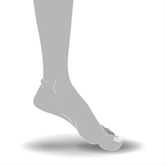 Foot of a man on a white background - Illustration of a human foot on a white background with a shadow