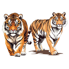 Fototapeta na wymiar tiger vector on white background