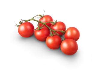 A bunch of fresh juicy red ripe tomatoes on the vine isolated against a transparent background