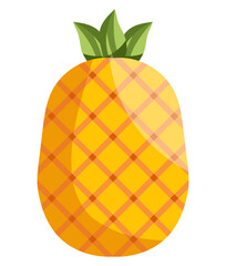 Fruit's Vector, Elements and Symbol
