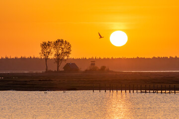 Fototapeta premium Sonnenaufgang am Bodden vor Zingst an der Ostaee.