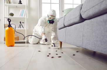 Pest control exterminator killing cockroaches inside house. Man in white protective suit, mask and gas respirator spraying insecticide from yellow sprayer bottle over roaches crawling on floor at home - obrazy, fototapety, plakaty