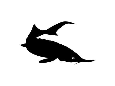 black sturgeon silhouette on white background clip art preview