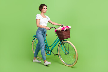 Full size profile photo of cute positive girl fresh flowers basket bicycle walking empty space...