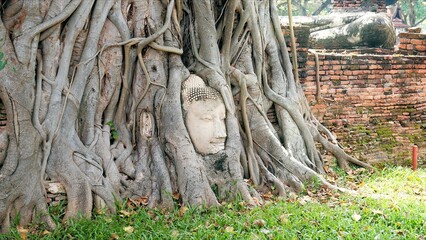 Fototapeta na wymiar Ayutthaya buddha head in tree roots, Buddhist temple Wat Mahathat in thailand. Amazing Thailand travel concept