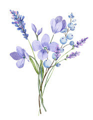 Fototapeta na wymiar Violet flowers decor for stationary, greetings, etc. floral decoration. Hand drawing.