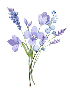Violet flowers decor for stationary, greetings, etc. floral decoration. Hand drawing.