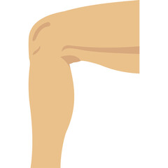 Knee