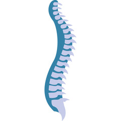 Joint Bone