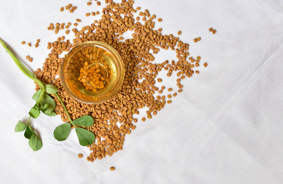 Fenugreek leaves with seeds and oil over white background.