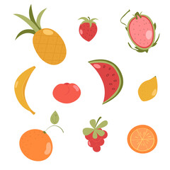 set of fruits on white background. flat, abstract style. exotic citrus, berries