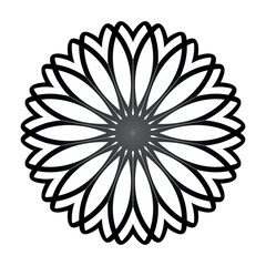 Vector illustration daisy mandala on a white board