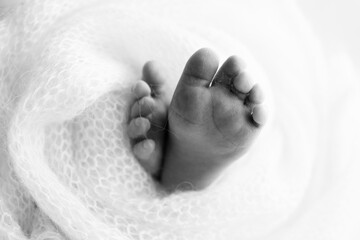 Close-up of tiny, cute, bare toes, heels and feet of a newborn girl, boy. 