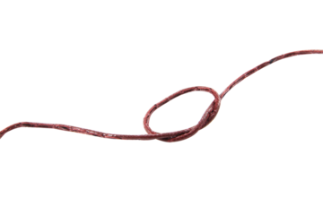 Brown leather rope with knot isolated on white background.