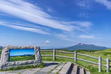 きじひき高原からの眺望