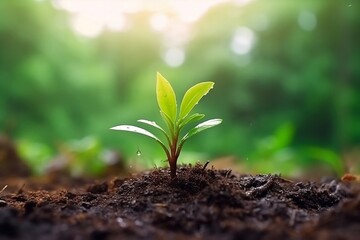 Young plants growing on the ground with sunlight, Generative Ai
