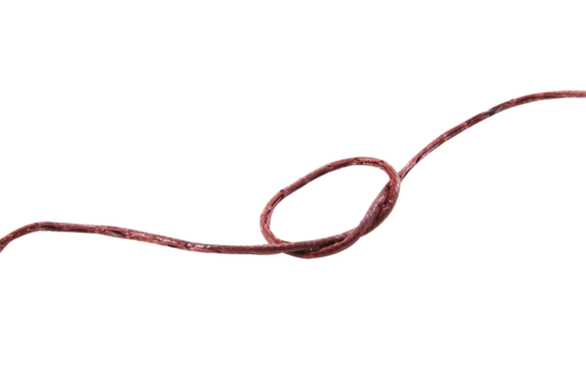Brown leather rope with knot isolated on white background.
