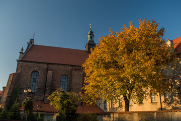 Kościół i drzewa w kolorach jesieni - obrazy, fototapety, plakaty