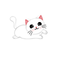 cat and mouse