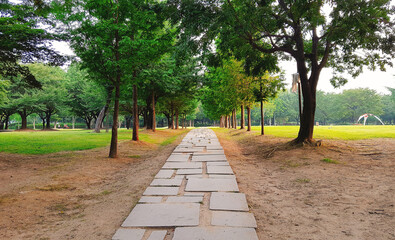 잔디밭 사이 숲, 보도블럭