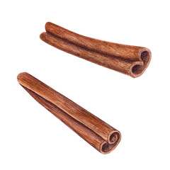 Watercolor illustration of Dried Cinnamon Sticks isolated on transparent  background. Nature raw organic spice from tree bark. Hand drawn cinnamon using in medicine, food and aromatherapy.