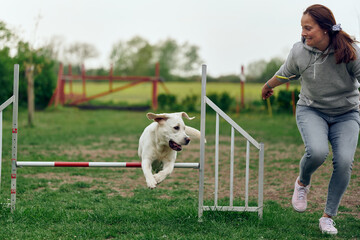 Woman mistress playing with her dog agility jumping over a hurdle obstacle