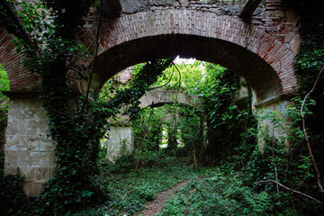 Old ruins of historical building overgrown by vegetation