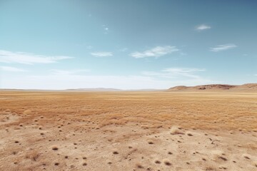 Fototapeta na wymiar A landscape photograph featuring a vast expanse of empty space, such as a desert field. Generative AI
