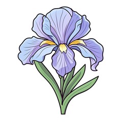 Iridescent Iris Mesmerizing  Iris Flower in Focus