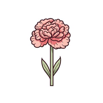pink peony flower stem isolated clip art preview