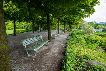 Empty benches in public park. Green vegetation, no people