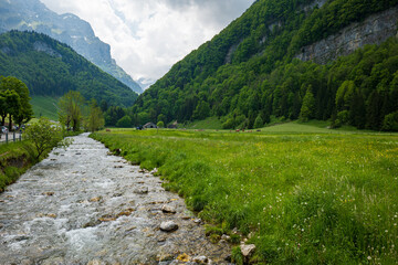 Naklejka na ściany i meble Alpine river flowing through green Valley in the Ebenalp, Appenzell region of Switzerland. Sunny summer day, wide-angle view, no people