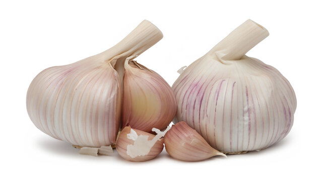 garlic isolated on white background