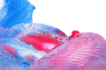 blue pink abstract acrylic painting color texture on white paper background by using rorschach...