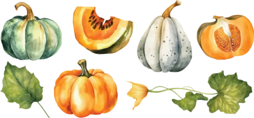 Foto op Plexiglas Autumn pumpkins and leaves in vector watercolor illustration style. isolated on white © Kar