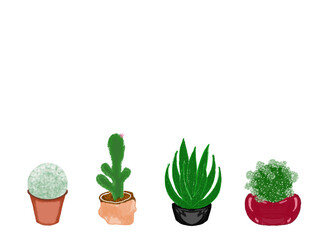 Cactus, many varieties with a white background