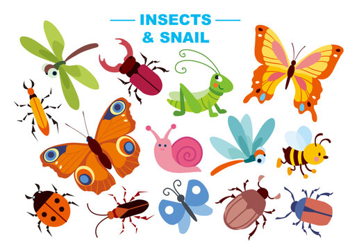 Set of cute insects and snail vector illustration. Cartoon characters in flat style: dragonfly, butterfly, beetle, grasshopper, moth, ladybug, stag beetle, bee, cockchafer, snail.
