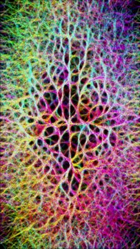 Creative coding physarum simulation. Particles find the shortest path to the brightest nearby particle, forming a network. Colors are determined by the direction of the particles. Vertical video.
