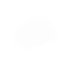 White stain. White brush stroke.