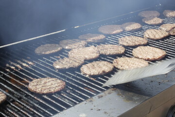 grilled meat on the grill