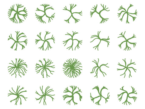 Trees top view for landscape vector illustration.
