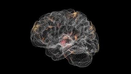 3D Brain Rotating Scan. Brain Scanning Interface. HUD Brain analyze. Medical Science Anatomy concept. For title, text, presentation. 3d animation.