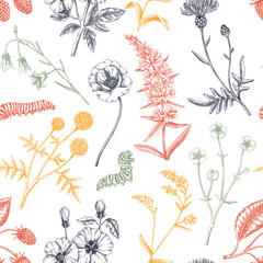 Hand-drawn summer background. Floral texture design in color. Sketched wildflowers seamless pattern. Vector illustration of field of flowers for wedding invitation, greeting cards, textile, packaging